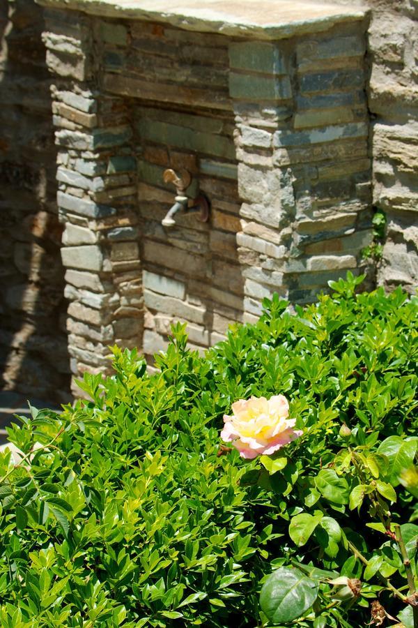Villa View Studios Ándros Exterior foto